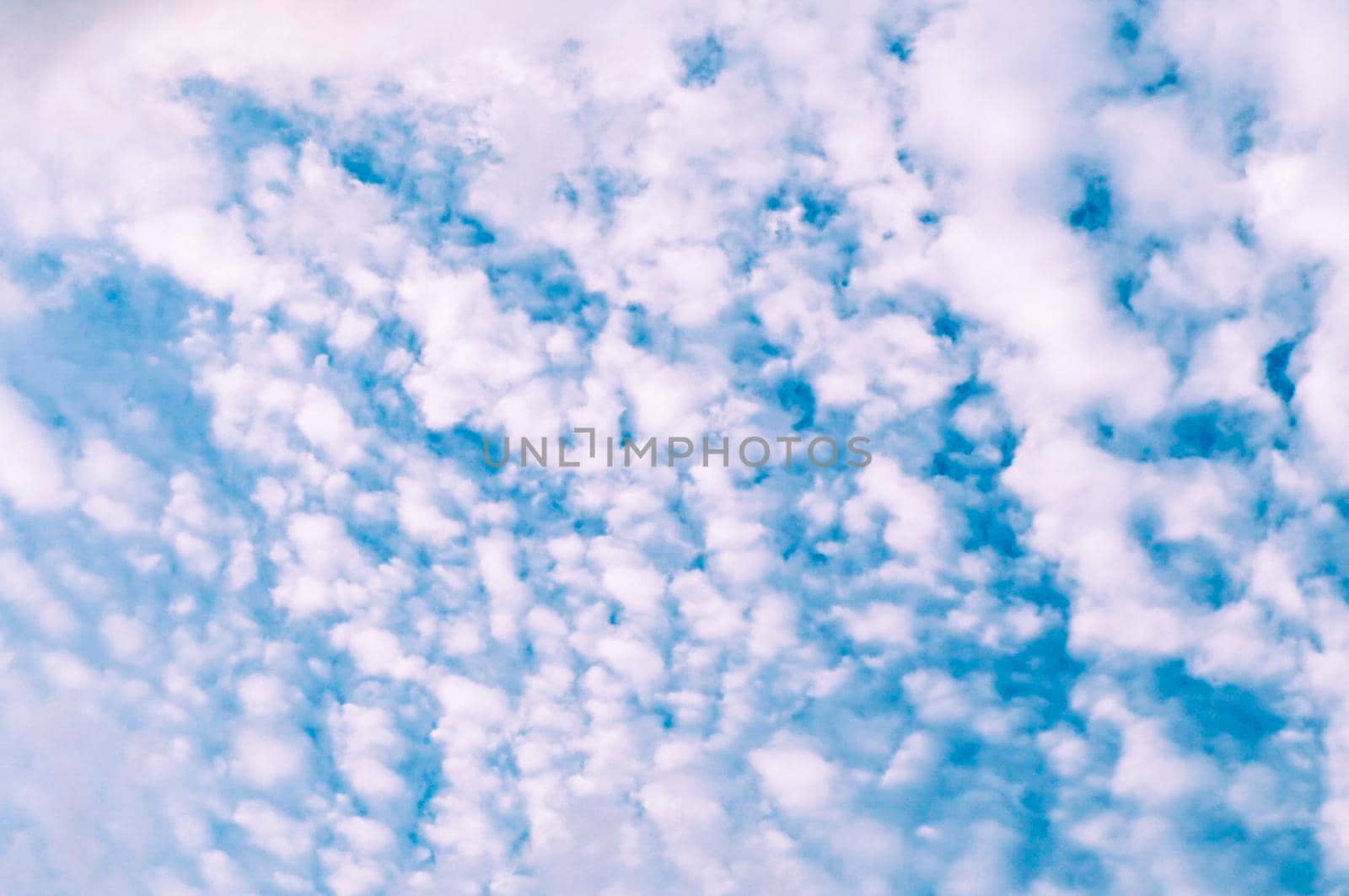Beautiful white fluffy and cirrocumulus clouds on a blue sky background
