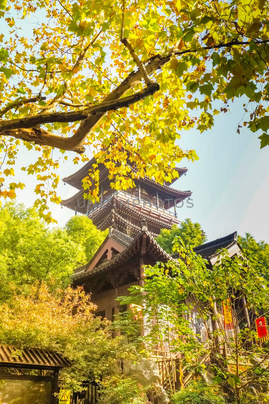 Traditional temple Shrine architecture in Osaka with autumn leaves in Japan China Fall Leaves.