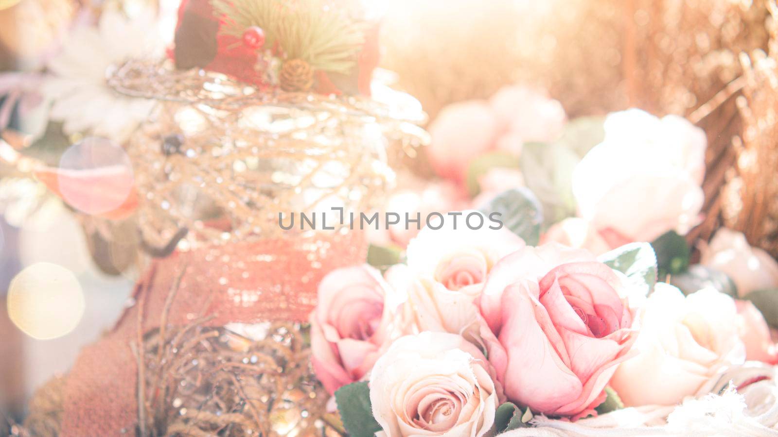 selective focus of pink flowers in bloom. Best spring Background