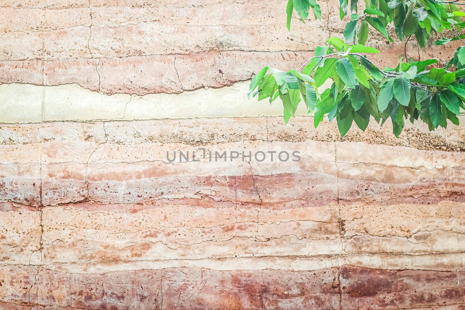 Abstract nature Soil patterned layer of clay soil for the background. by Petrichor