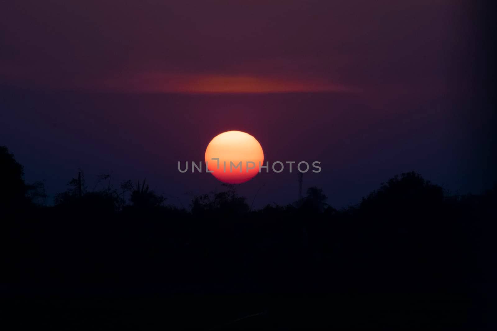 Silhouette of a tree landscape against a sunset sky Dawn sunset
