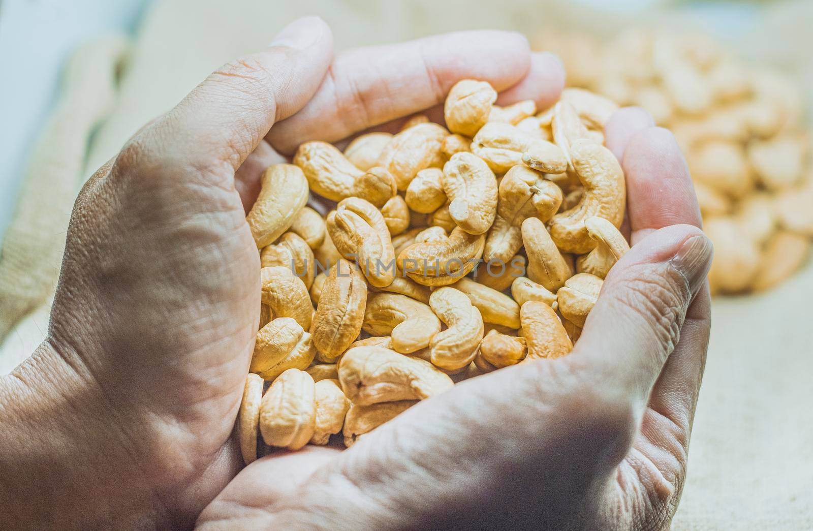 Cashew nuts in hand.  healthy fats and protein food agriculture industry.