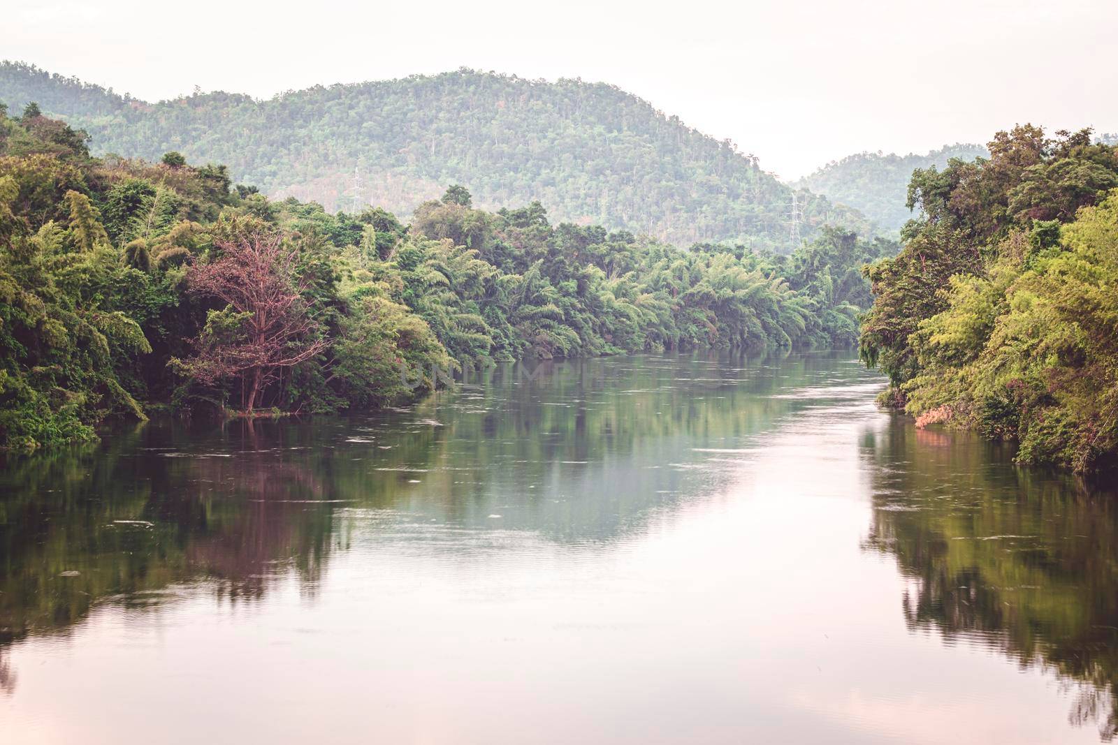 Kanchanaburi Nature and Wildlife tropical forest along Kaew river in Kanchanaburi Thailand by Petrichor