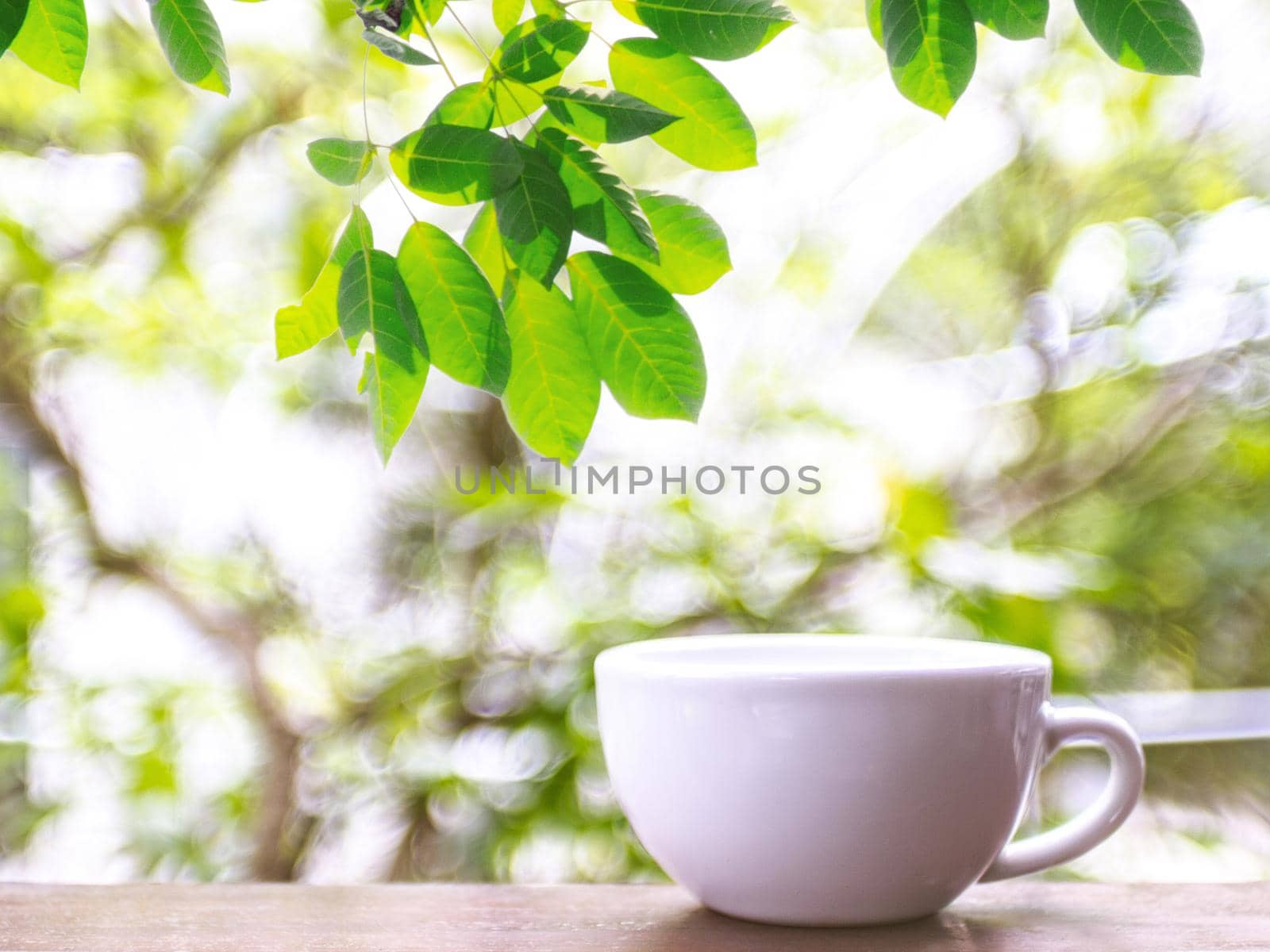 A white coffee mug placed on a wooden table in a natural