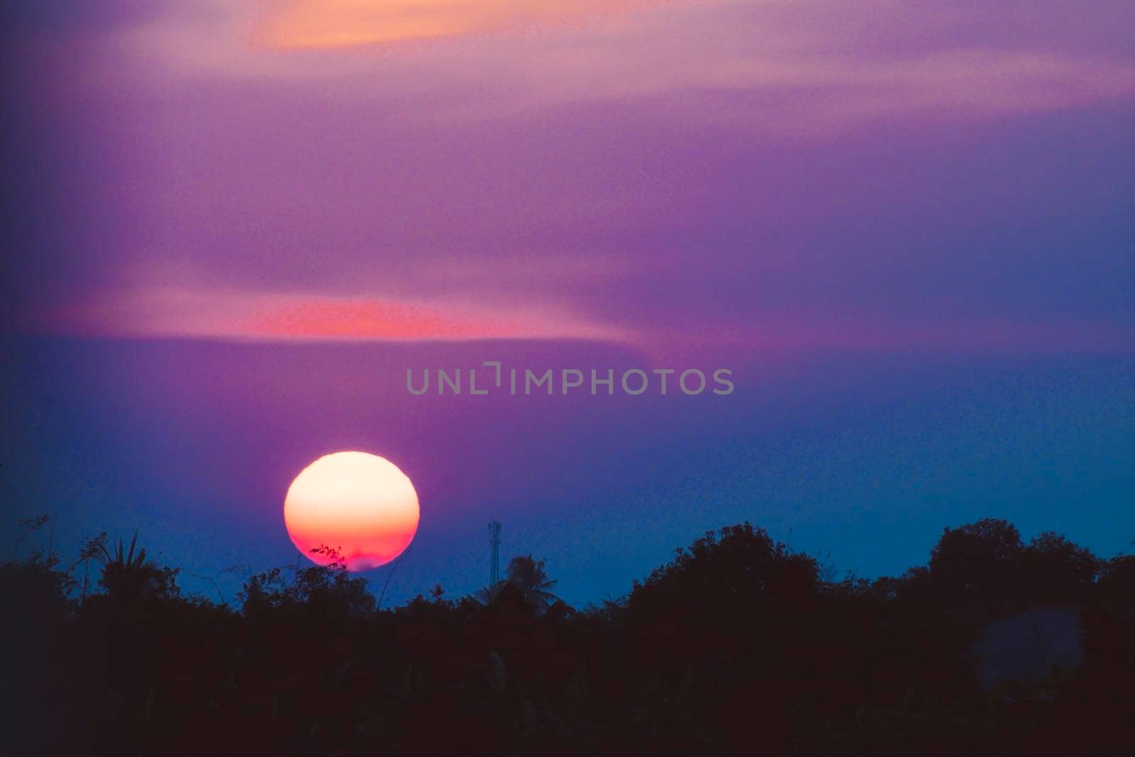 Silhouette of a tree landscape against a sunset sky Dawn sunset