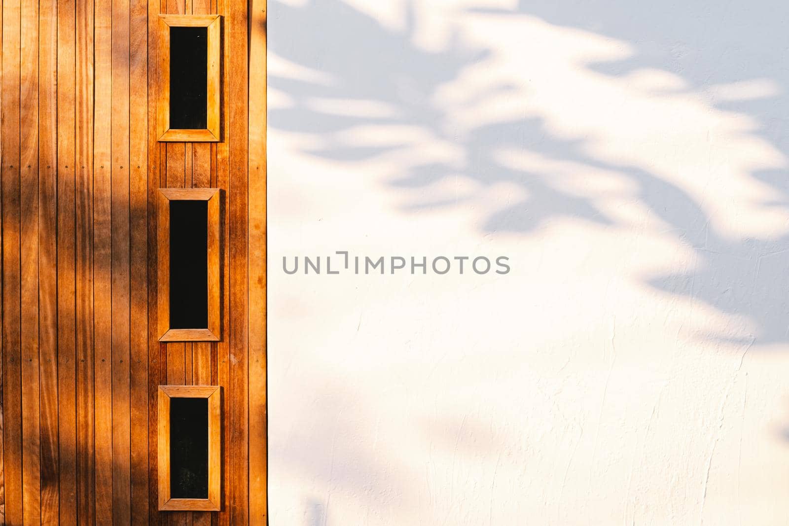 Wooden door white wall with Tree leaves shadow on wall Nature Abstract background