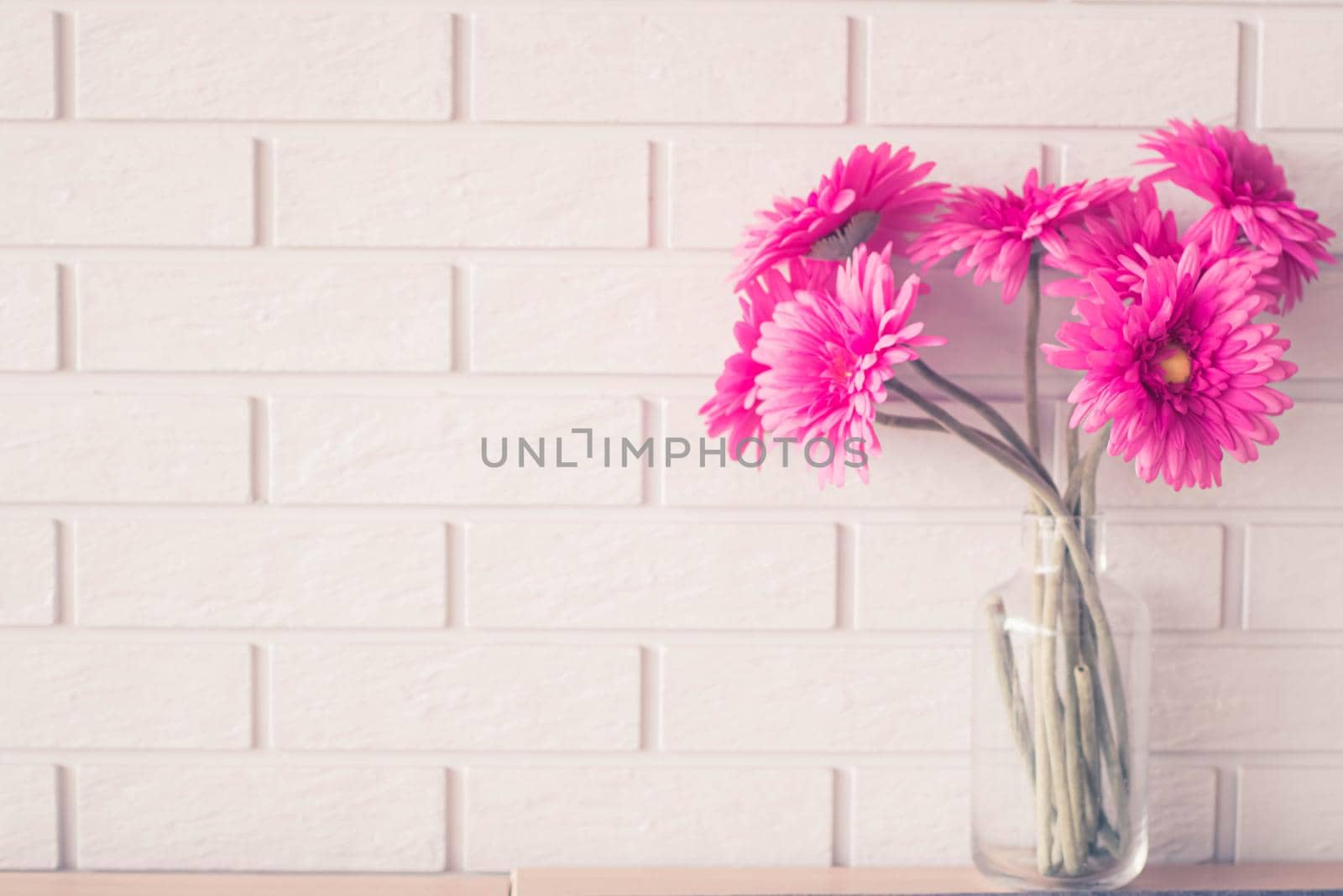 Soft focus Pink Gerbera Daisies in Glass Vase on white brick wall texture background with copy space.