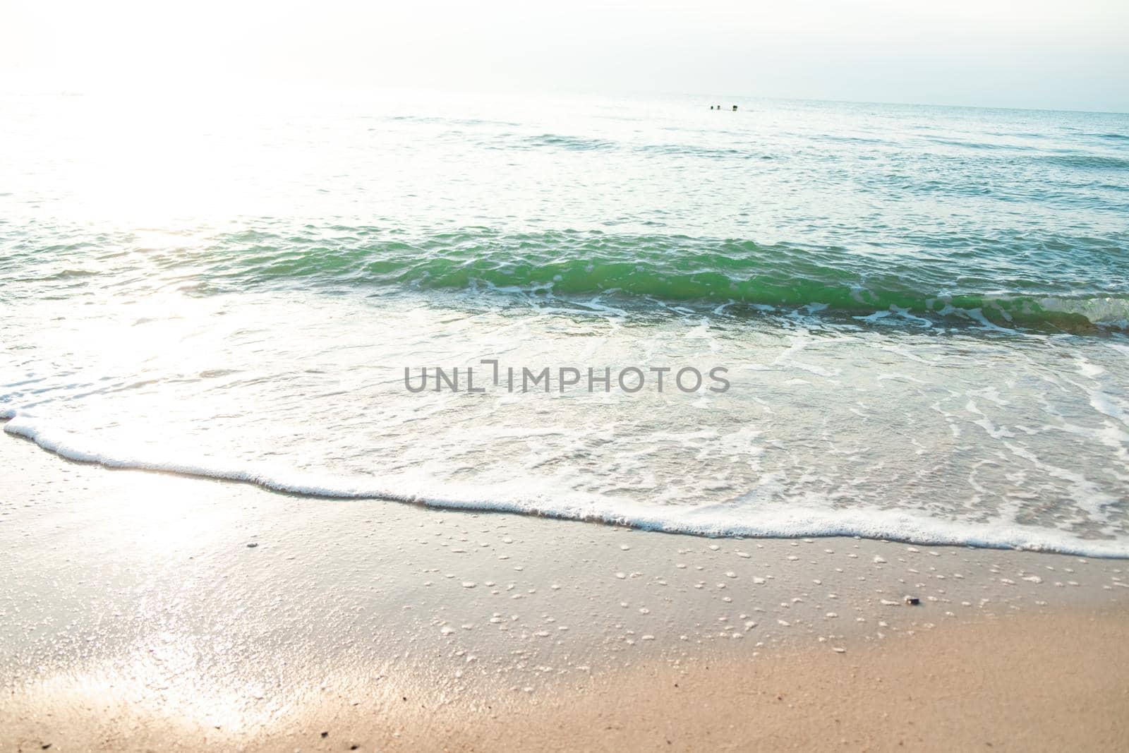 Close Up Wave Sand Beach Sea Foam.  Closeup of sea wave with foam on beach sand. Vacation Summer background by Petrichor