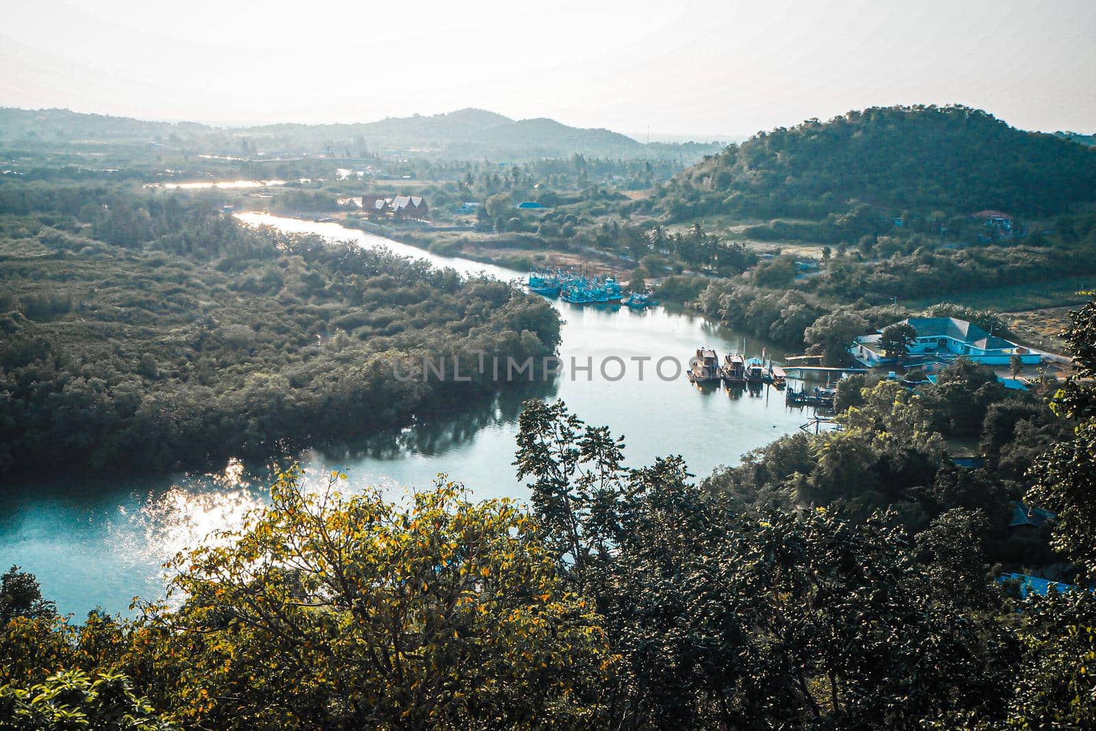 Aerial top view forest, Texture of  mangrove forest view from above nature mountain background by Petrichor