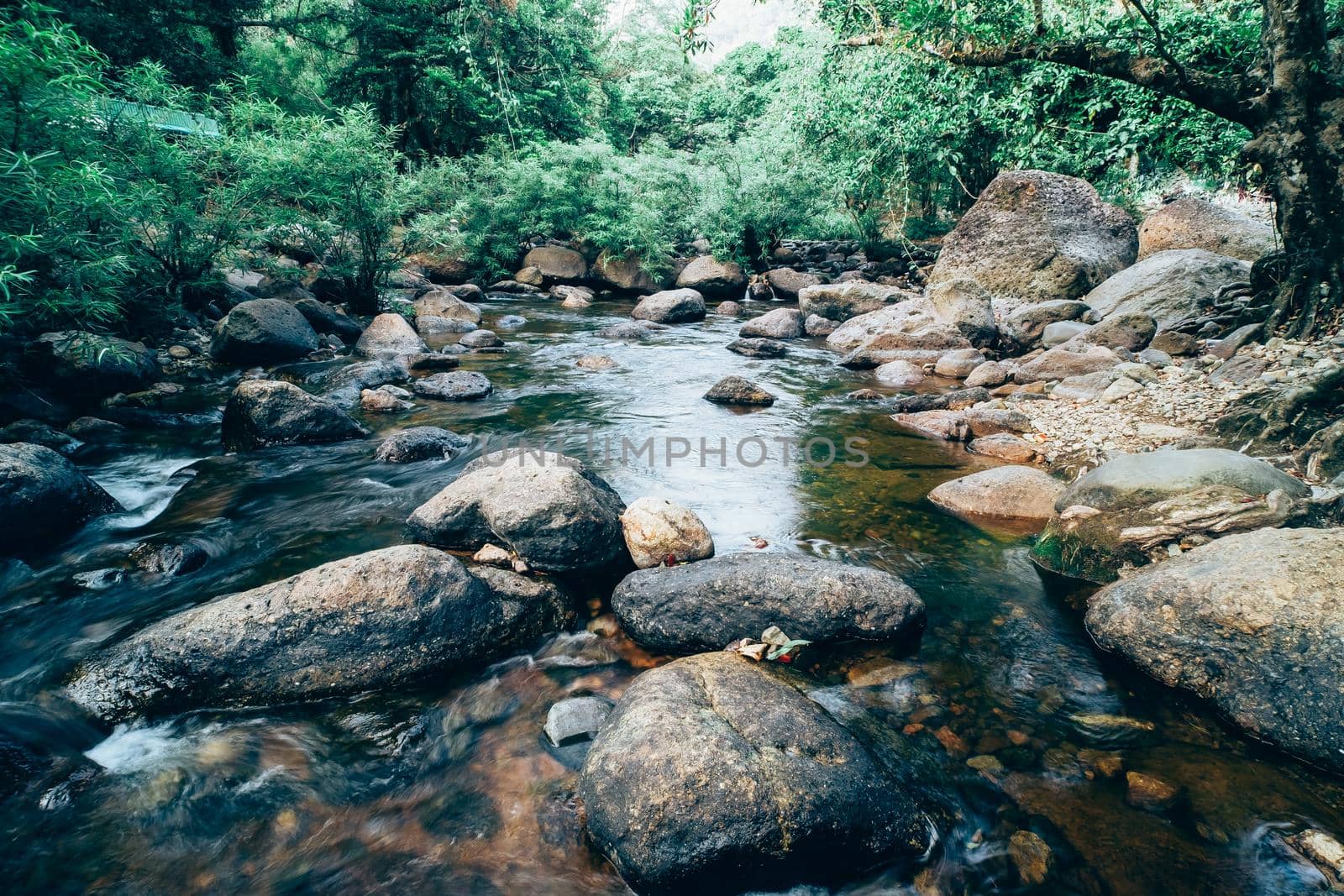 Jungle landscape with amazing stream at deep tropical rain forest. travel landscape and destinations Thailand South east asia