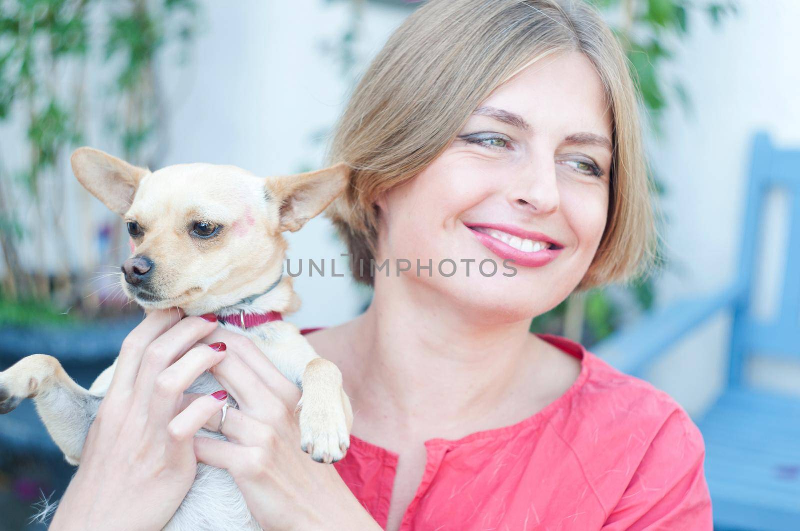 portrait beautiful young blonde smiling and pet dog Chihuahua. High quality photo