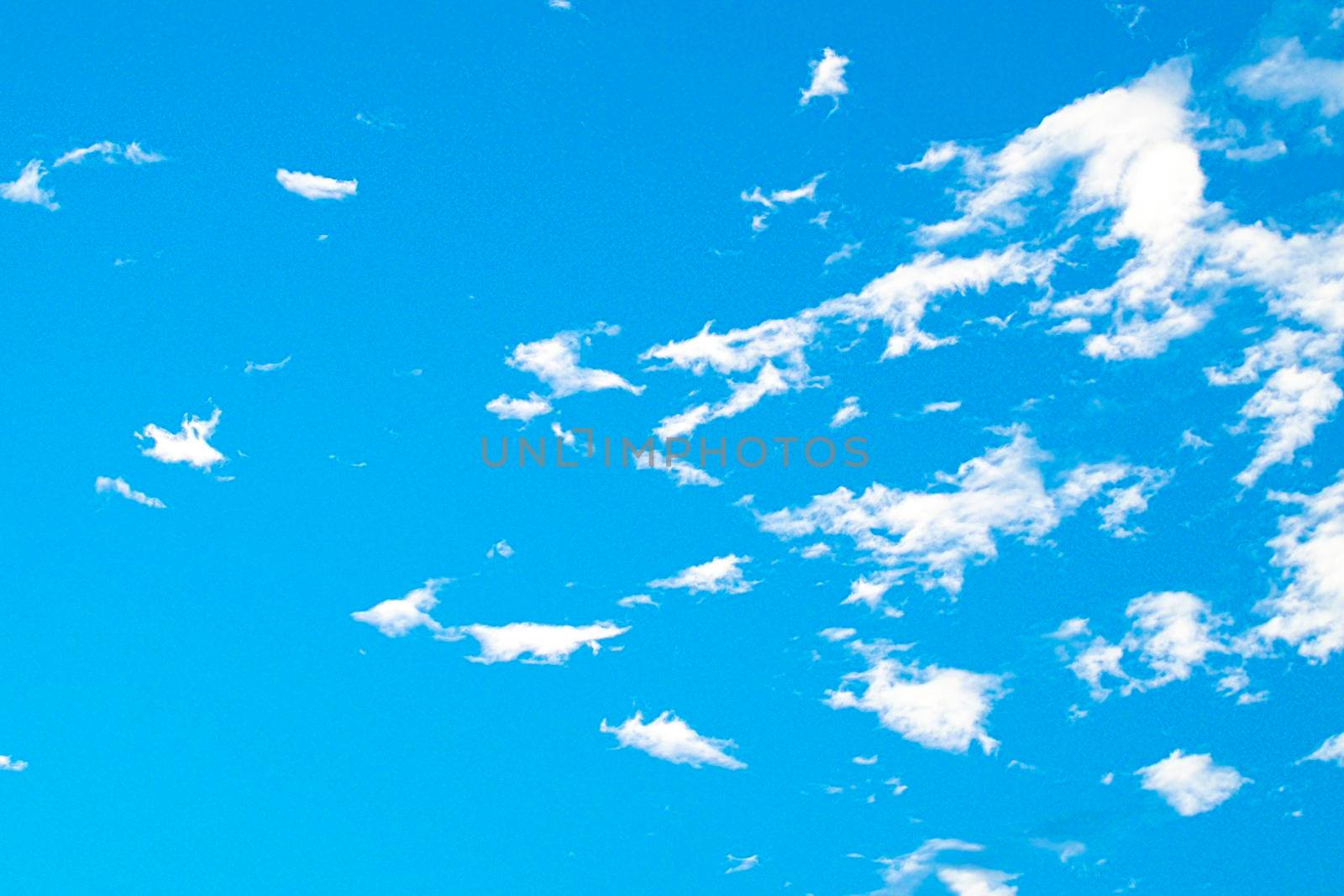Cloud Muscle Cloud Cumulus Cirrus clouds against blue sky. abstract season background.