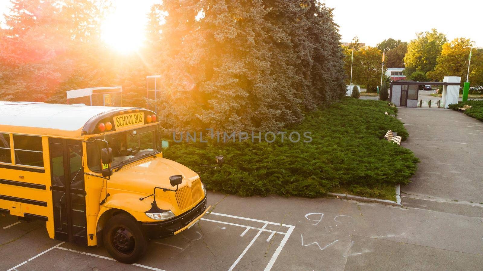 school bus in the schoolyard.