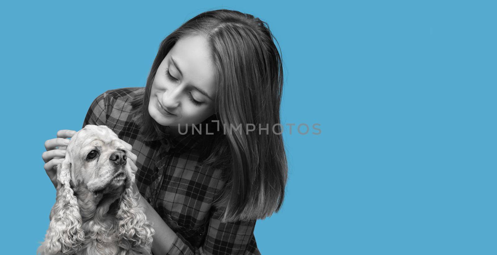 Black and white image of an american cocker spaniel and young beautiful woman on blue background with copy-space