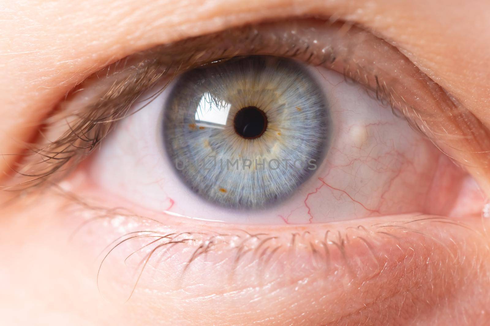 Close-up of a female human eye in grey-blue color.