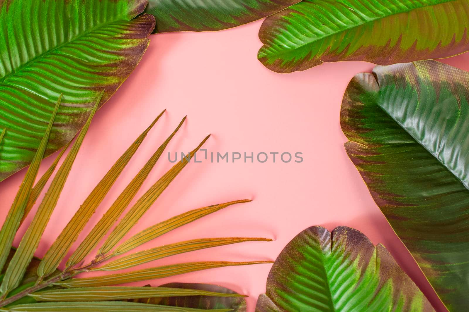 green palm leaves Monstera on pink background. Flat lay, top view.