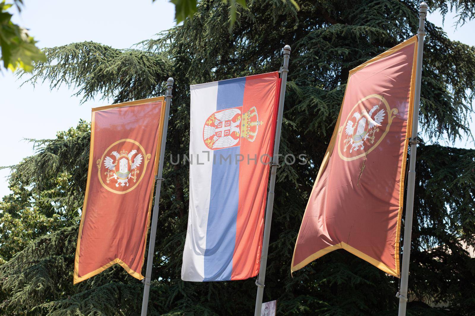 Valjevo, Serbia - June 20, 2022: city and state flag on masts