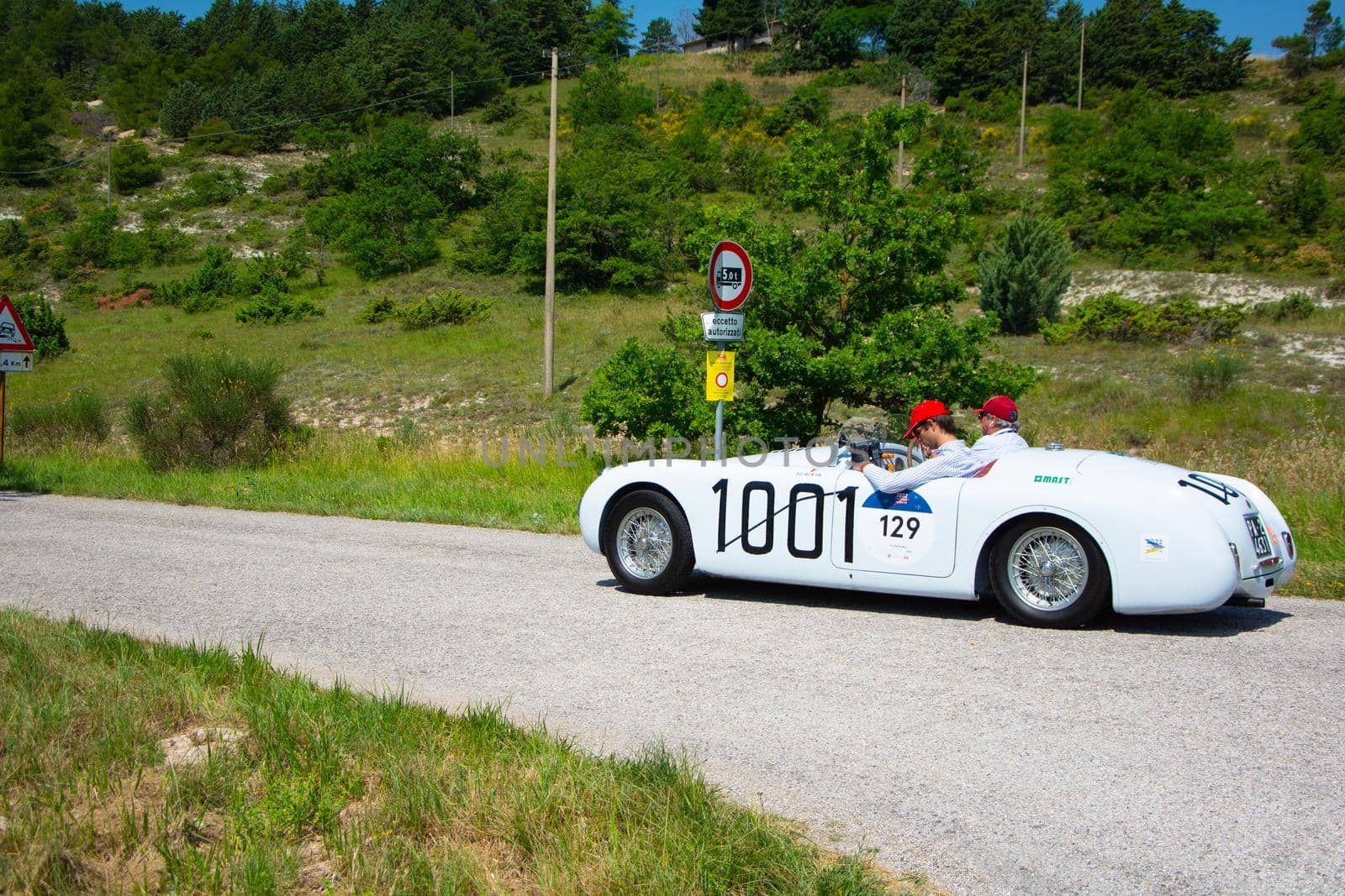 URBINO, ITALY - JUN 16 - 2022 : CISITALIA 202 S MM SPIDER 1947 on an old racing car in rally Mille Miglia 2022 the famous italian historical race (1927-1957
