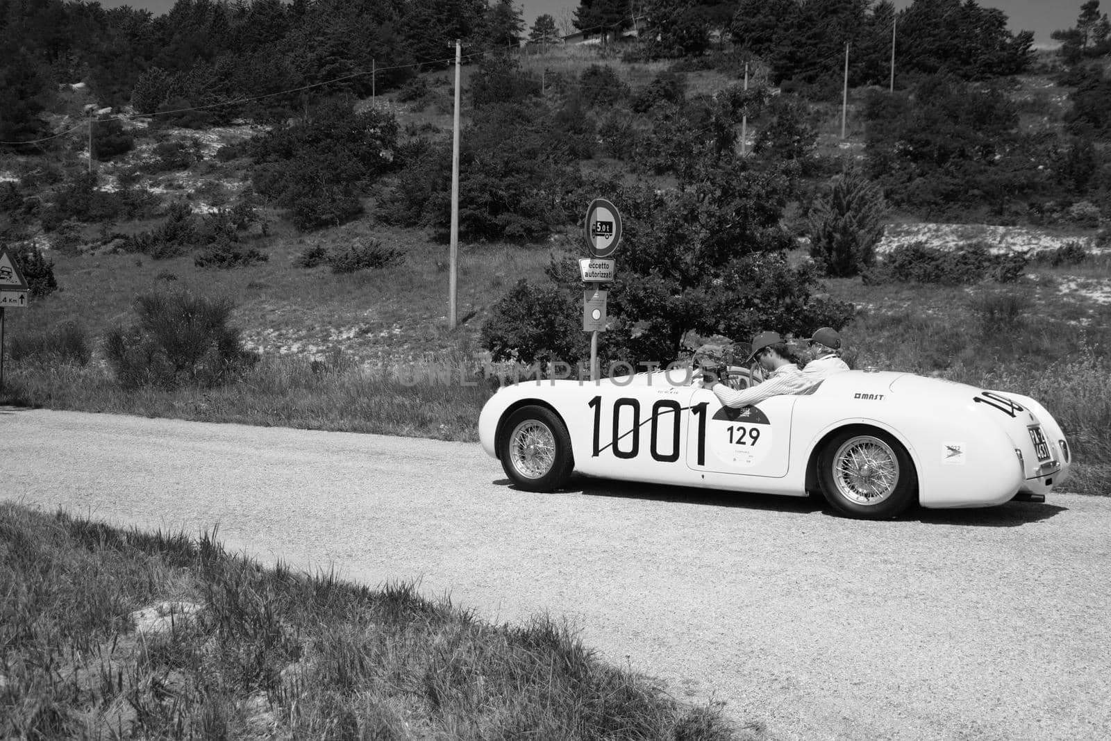 CISITALIA 202 S MM SPIDER 1947 on an old racing car in rally Mille Miglia 2022 the famous italian historical race (1927-1957 by massimocampanari