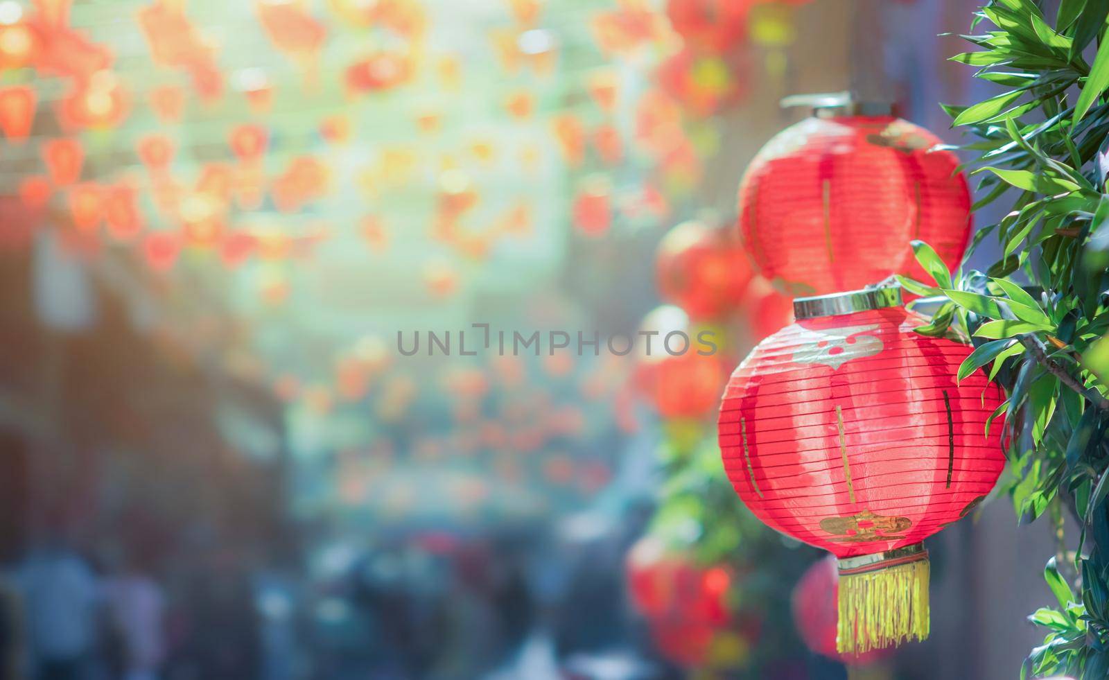 Chinese new year lanterns in chinatown by toa55