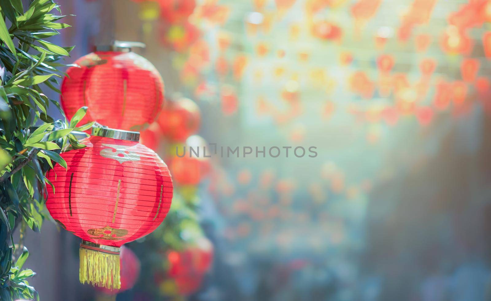 Chinese new year lanterns in chinatown