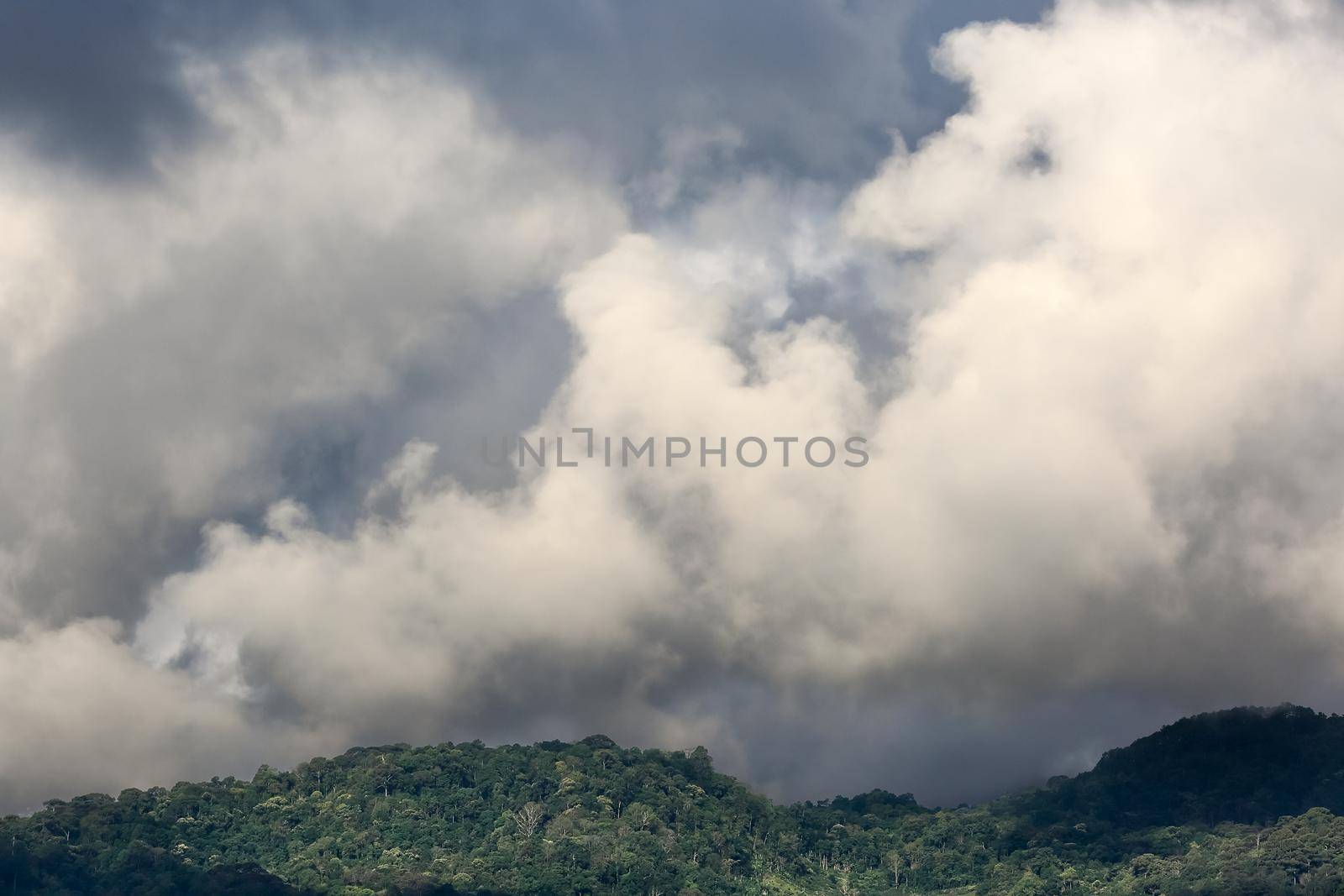 Cumulus cloud over tropical forest. by toa55