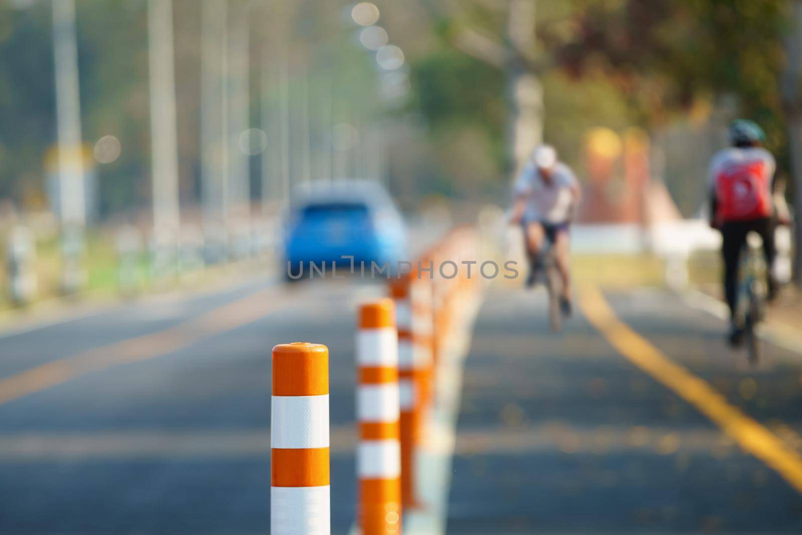 Flexible traffic bollard for bike lane. by toa55