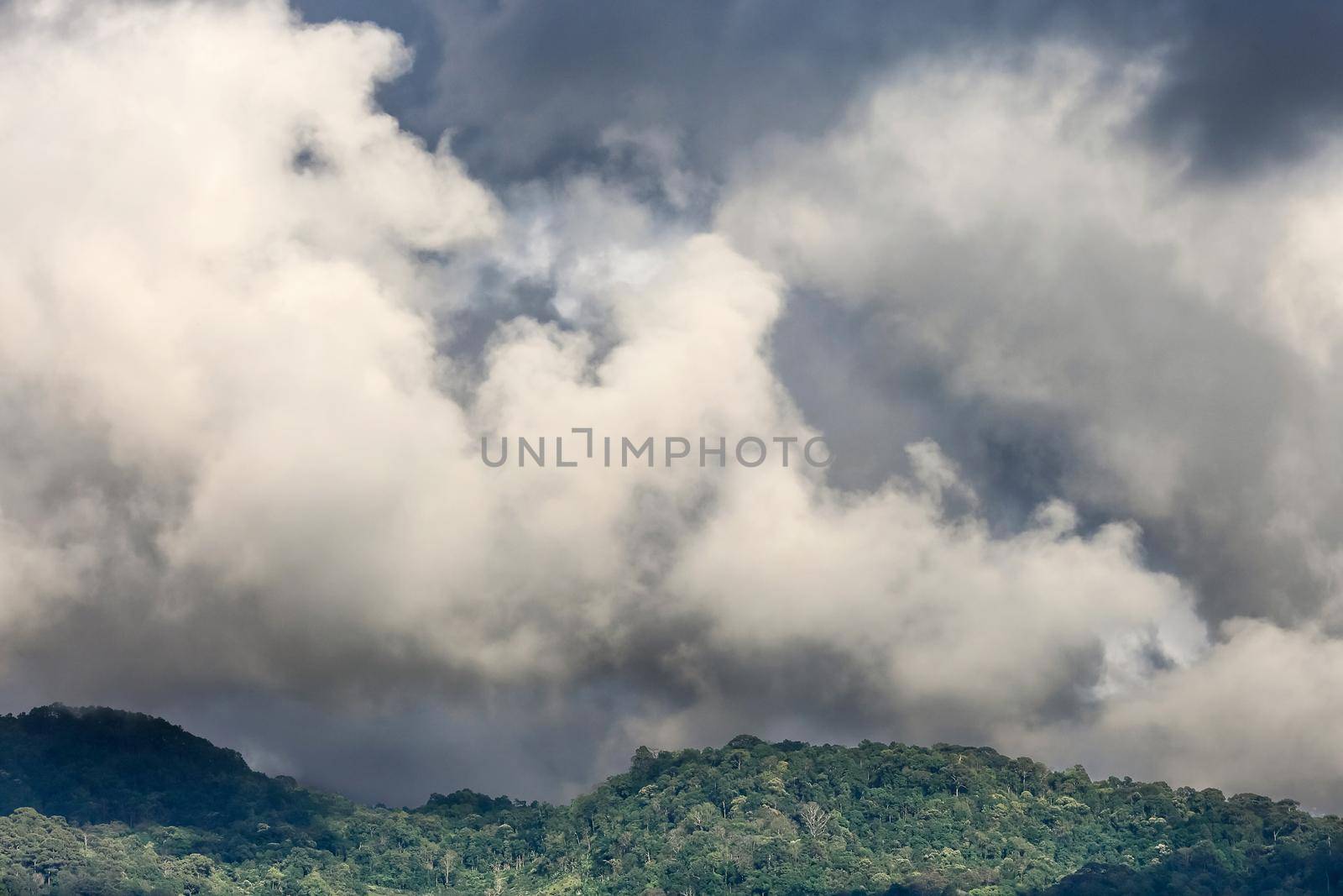 Cumulus cloud over tropical forest.