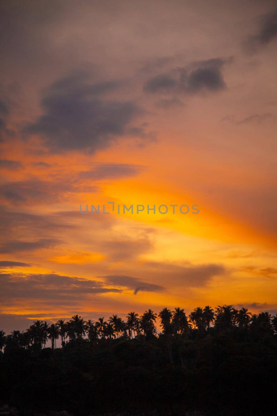 Sailing boat during sunset at Promthep Cape in Phuket peninsula, Thailand. High quality photo