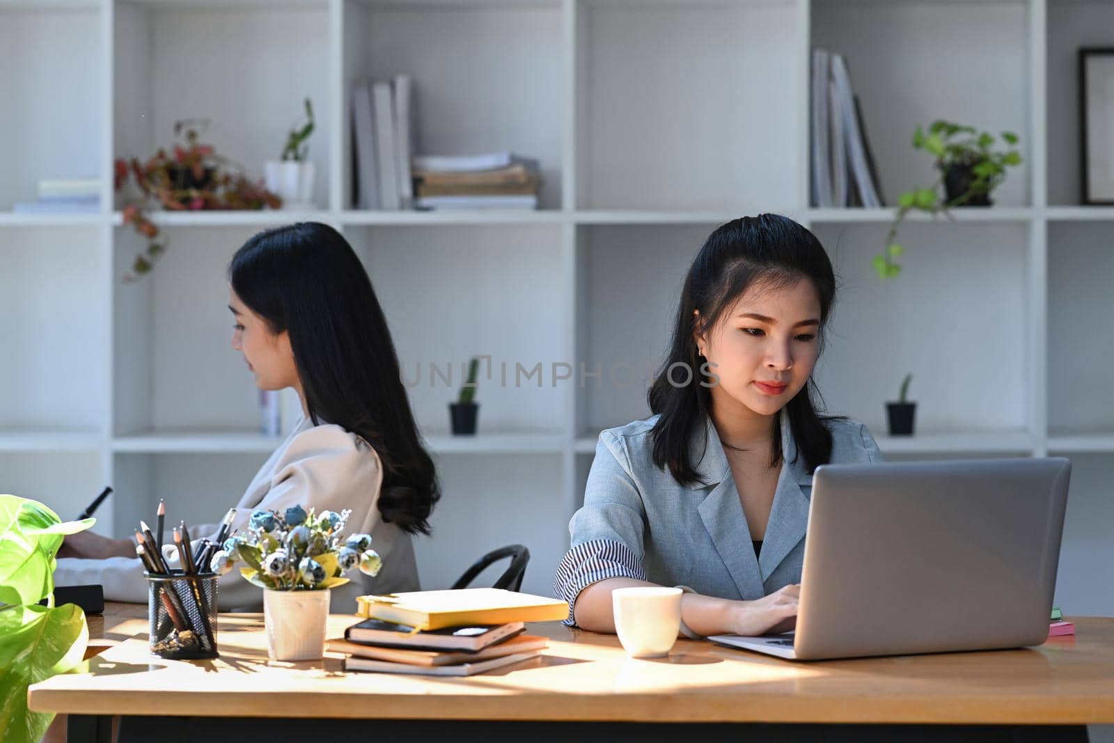 Concentrated businesswoman sitting with her colleague in office and using laptop computer.