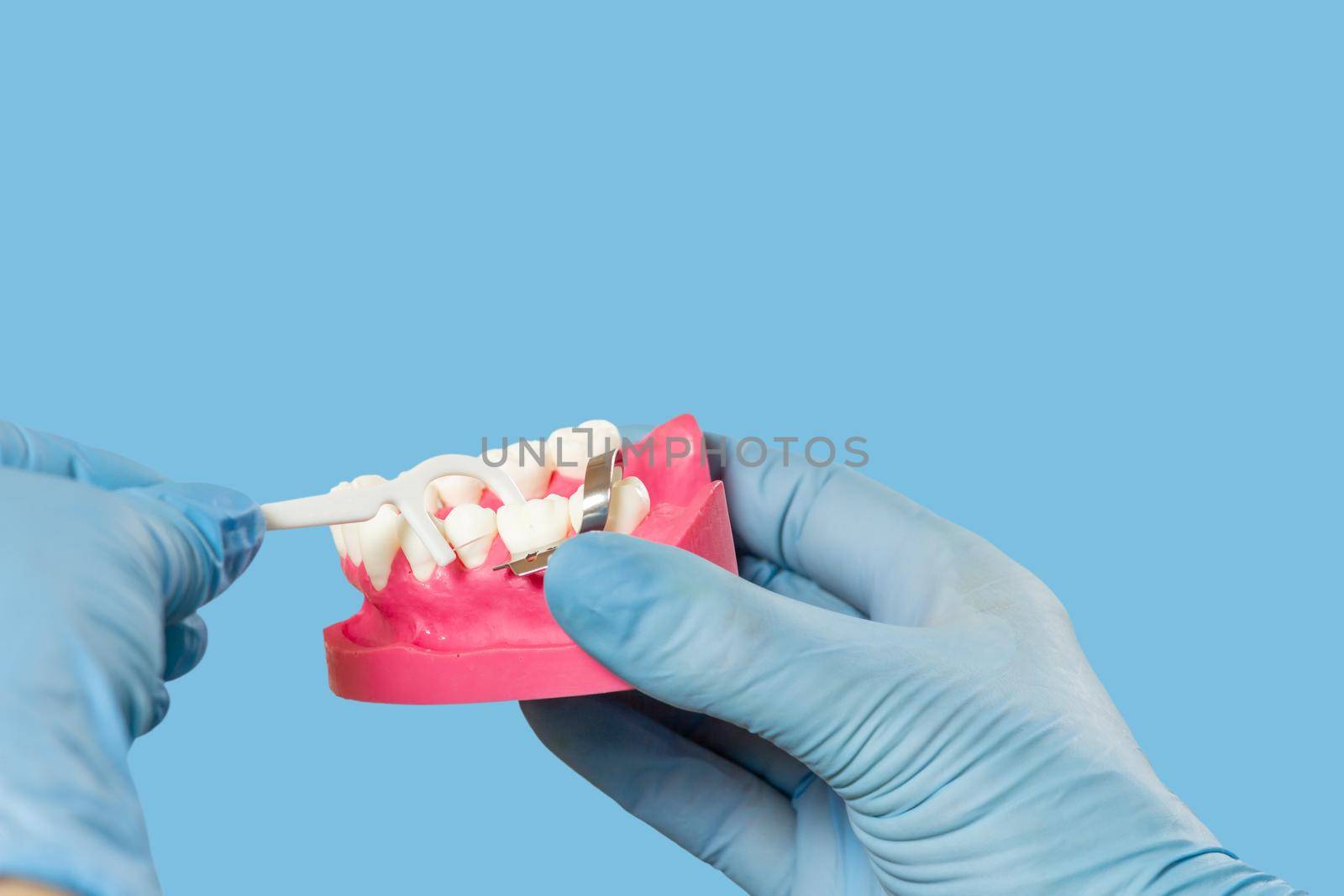 Close-up view of dentist's hands with a human jaw layout and a floss toothpick.