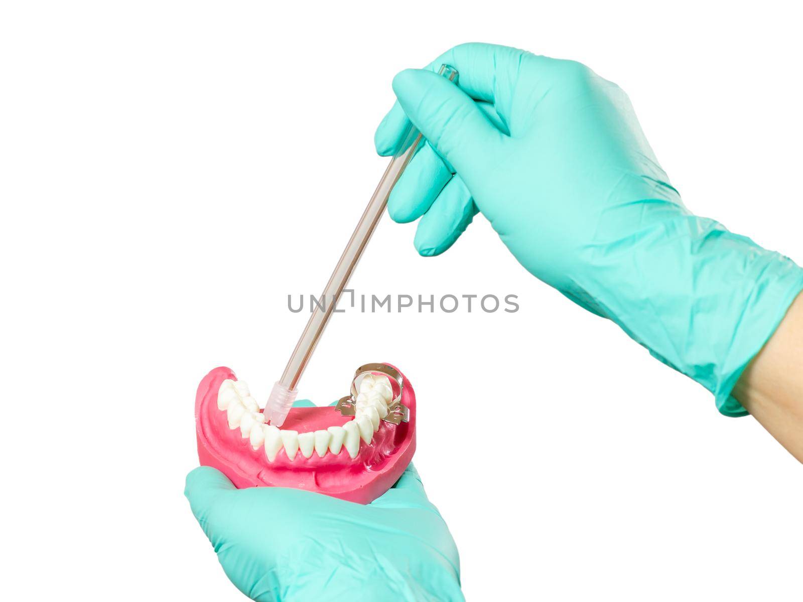 Dentist's hands in latex gloves with the saliva ejector and the human jaw layout on the white isolated background. Medical tools concept.