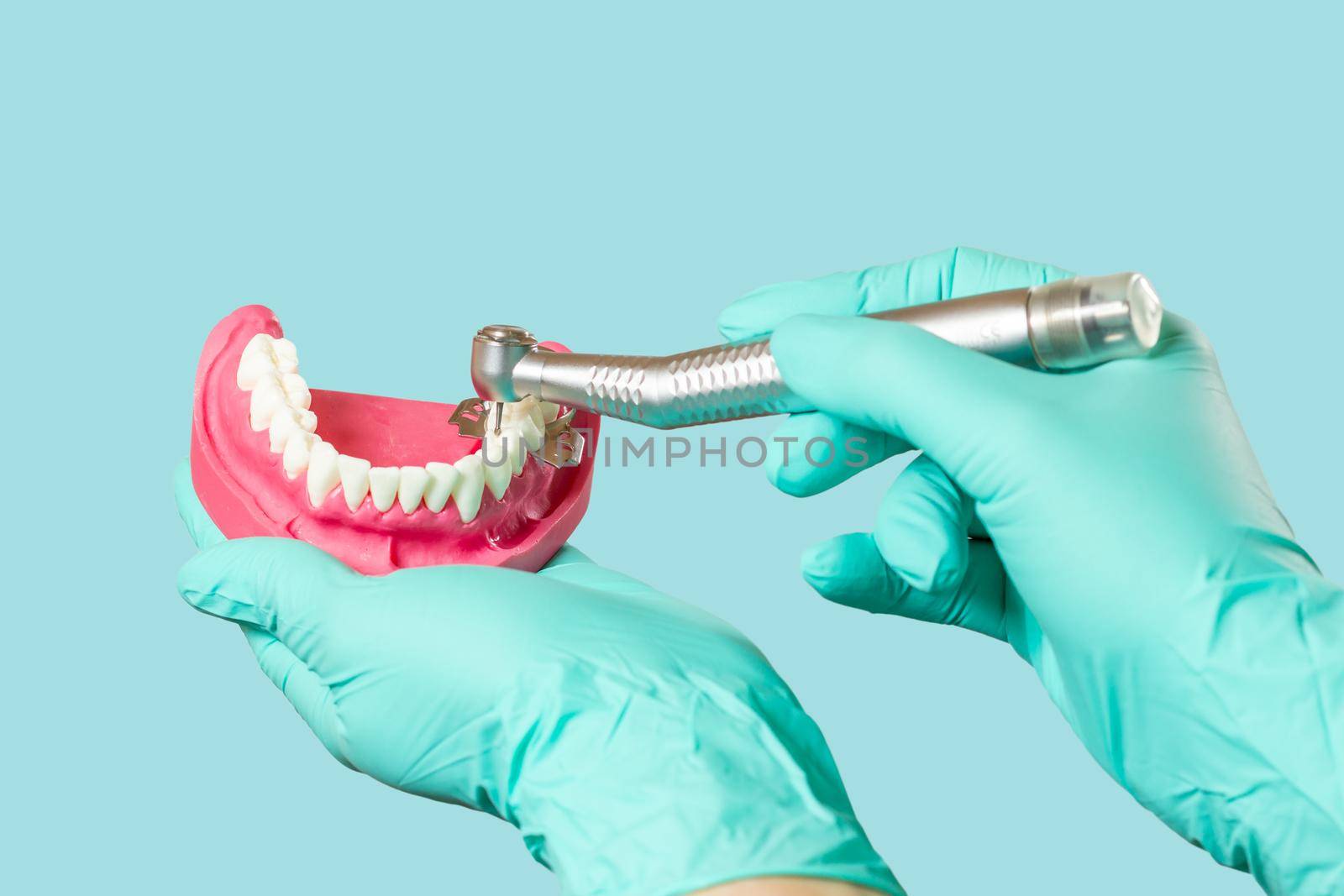 Head of high-speed dental handpiece with bur and a layout of the human jaw in dentist's hands on green mint. Dental instruments for dental treatment. Close-up view.