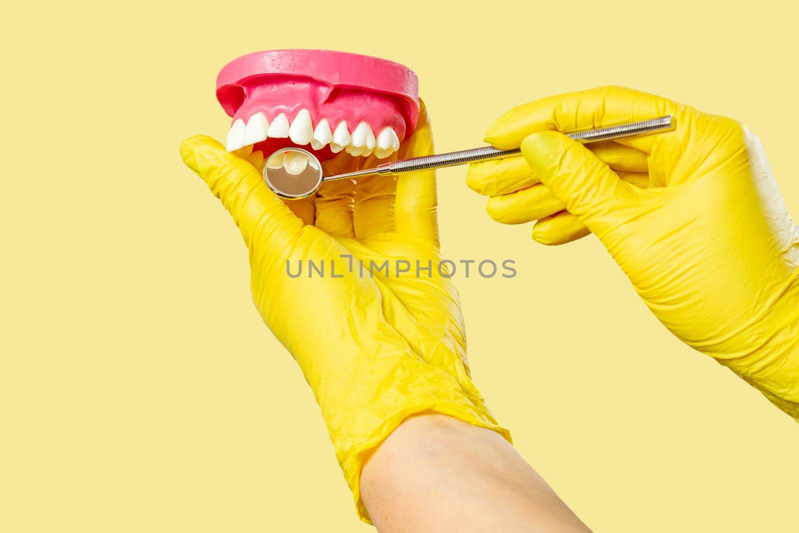 Dentist examine teeth from layout of the human jaw by mvg6894