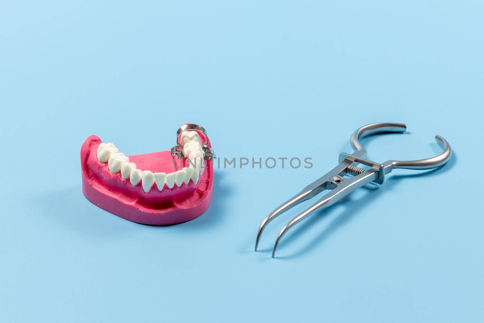 Layout of the human jaw with a clamp and a rubber dam clamp forceps on the blue background. Medical tools concept.