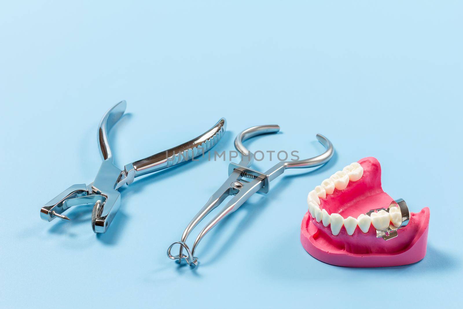 Layout of the human jaw with a clamp, a rubber dam forcep and a dental hole punch on the blue background. Medical tools concept.