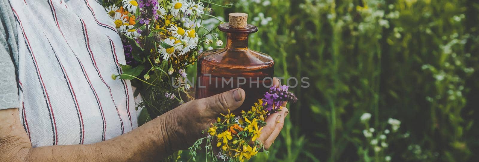 Old woman makes herbal tincture. Selective focus. Nature.