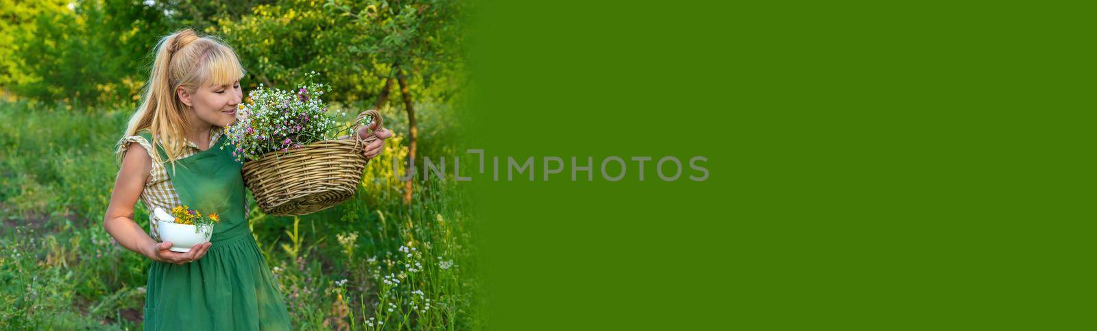 A woman makes herbal tincture. Selective focus. Nature.