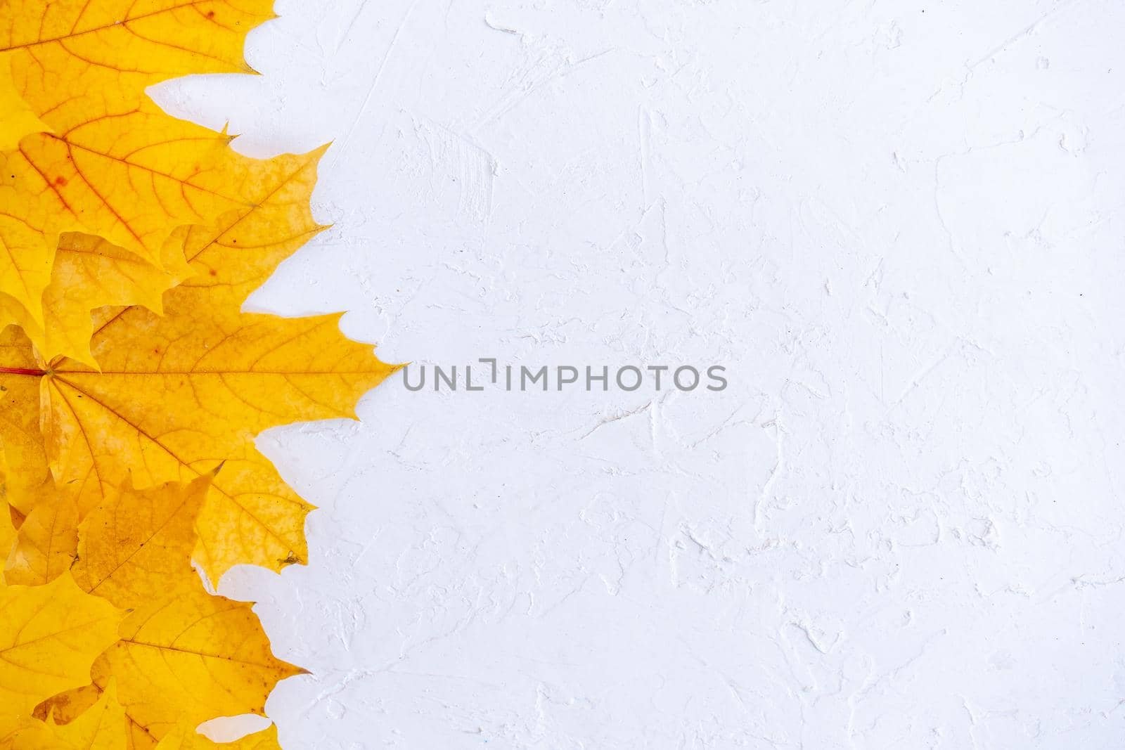 Autumn leaves frame on left side white structured background top view Fall Border yellow and Orange Leaves vintage background table Copy space. Mock up for your design. Display for product or text