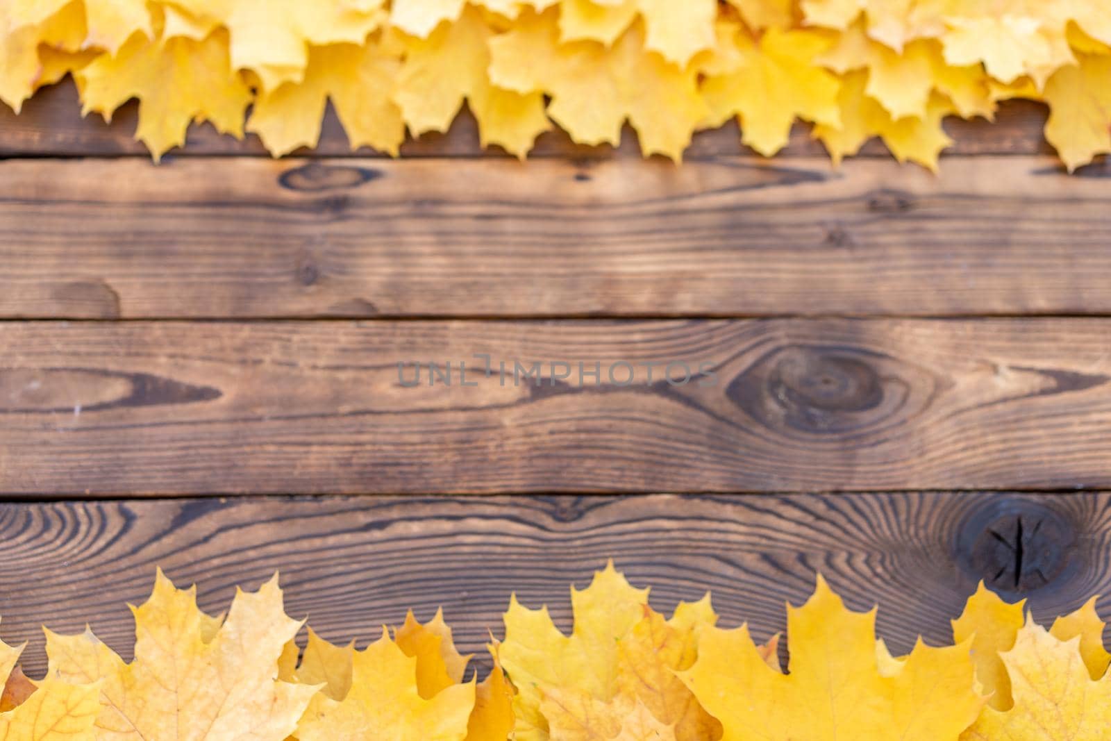 Autumn leaves frame on one down and up side wooden background top view Fall Border yellow and Orange Leaves vintage wood table Copy space. Mock up for your design. Display for product or text