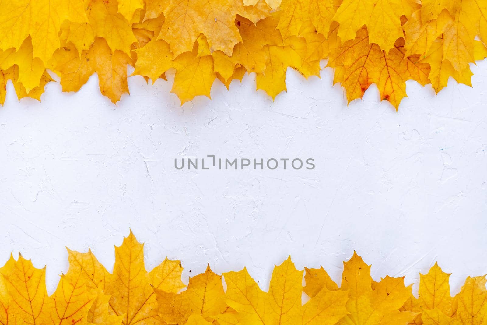 Autumn leaves frame on up down side white structured background top view Fall Border yellow and Orange Leaves vintage background table Copy space. Mock up for your design. Display for product or text