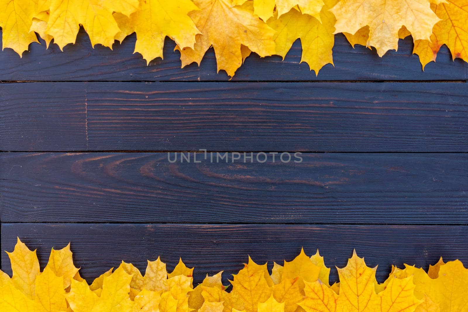 Autumn leaves frame on one down and up side wooden background top view Fall Border yellow and Orange Leaves vintage wood table Copy space. Mock up for your design. Display for product or text