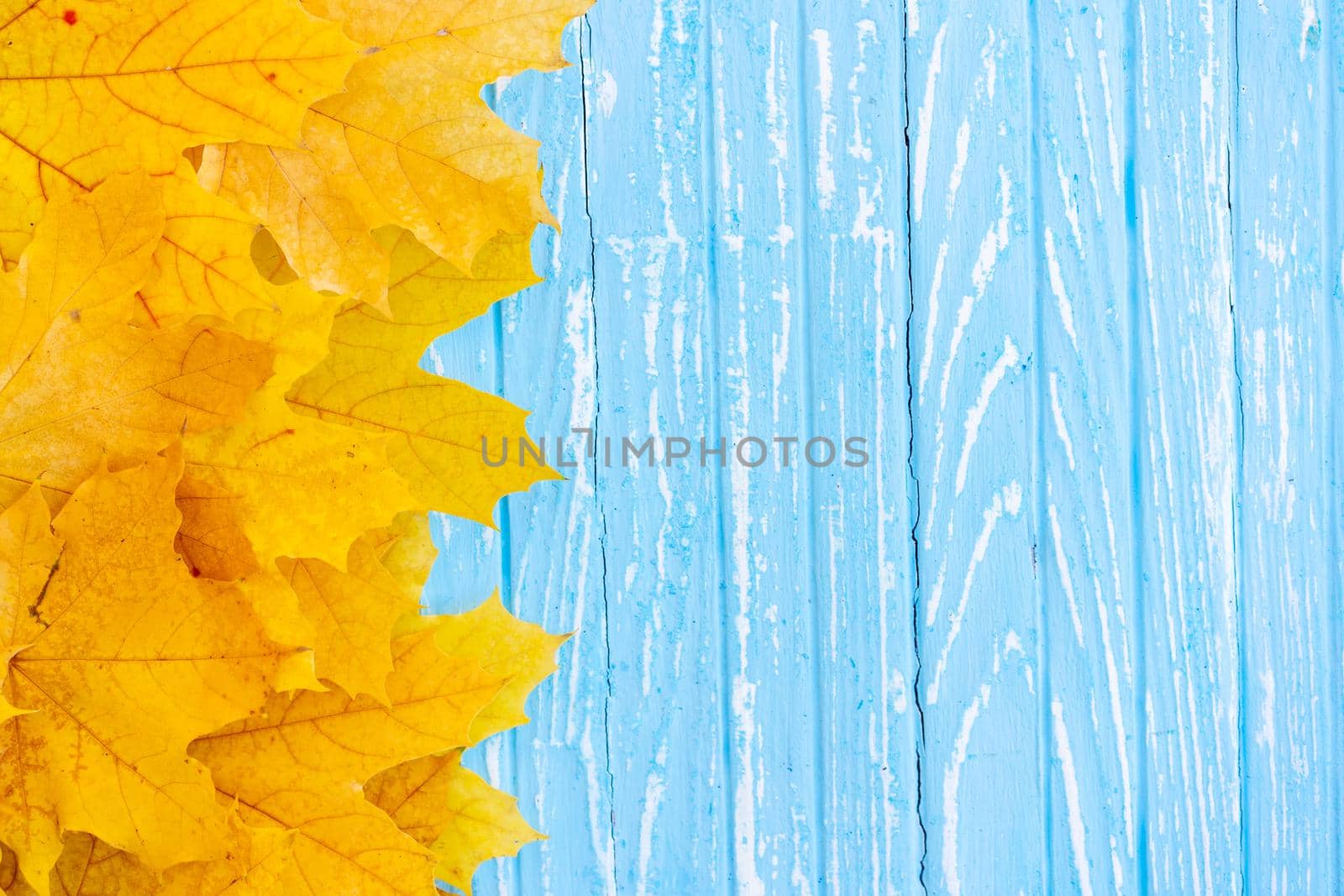 Autumn leaves frame on one left side wooden blue background top view Fall Border yellow and Orange Leaves vintage wood table Copy space. Mock up for your design. Display for product or text