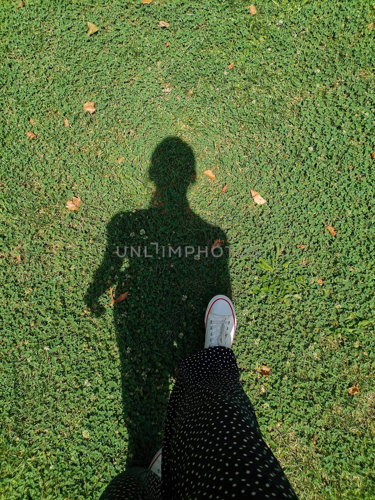 The shadow of a girl on the lawn. The girl is walking on the lawn, top view of walking legs on the grass. White sneakers against the background of green blooming clover.