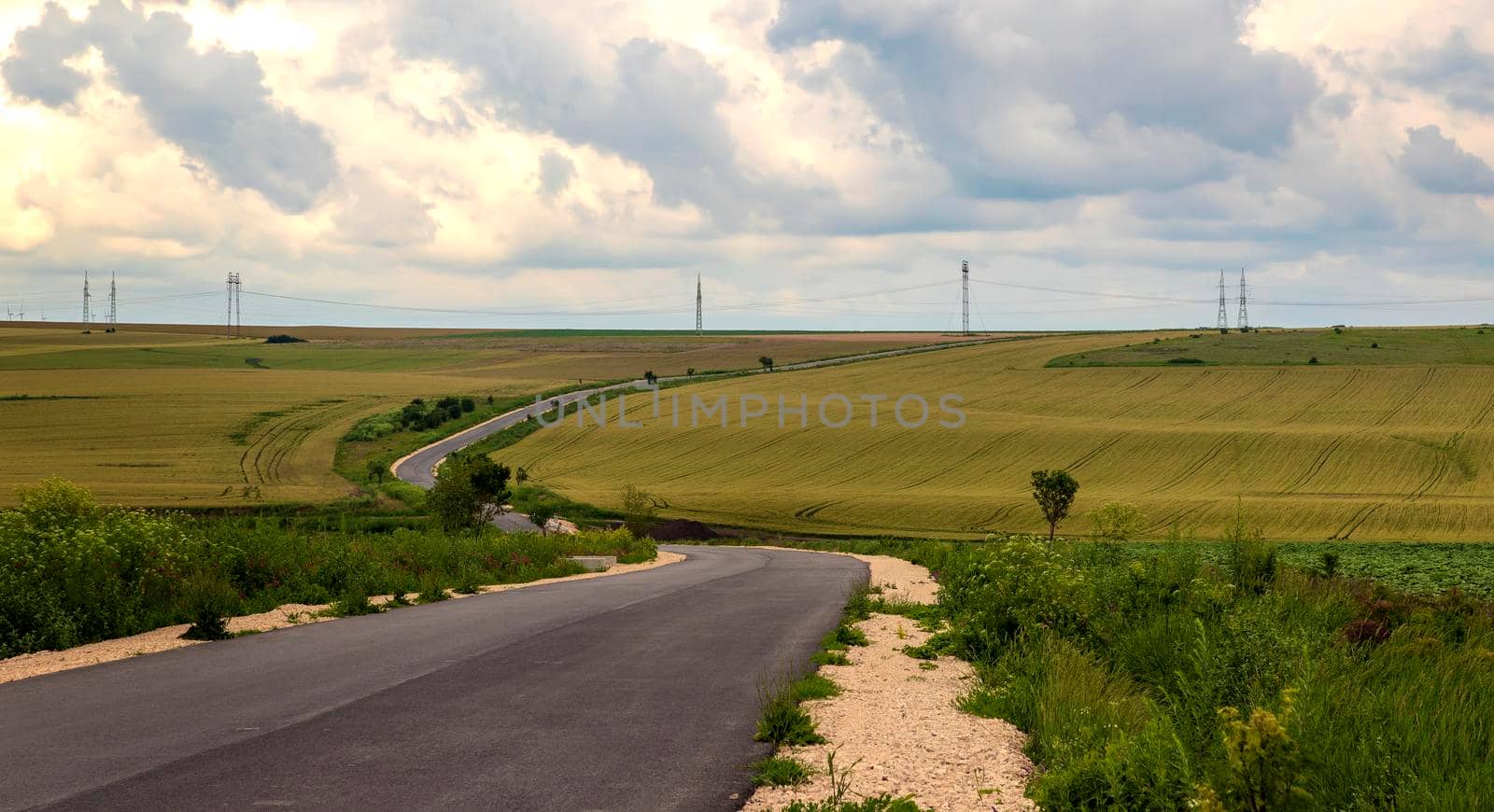 Empty road with curves and fields with beautiful fluffy clouds in the sky. Scenic view.