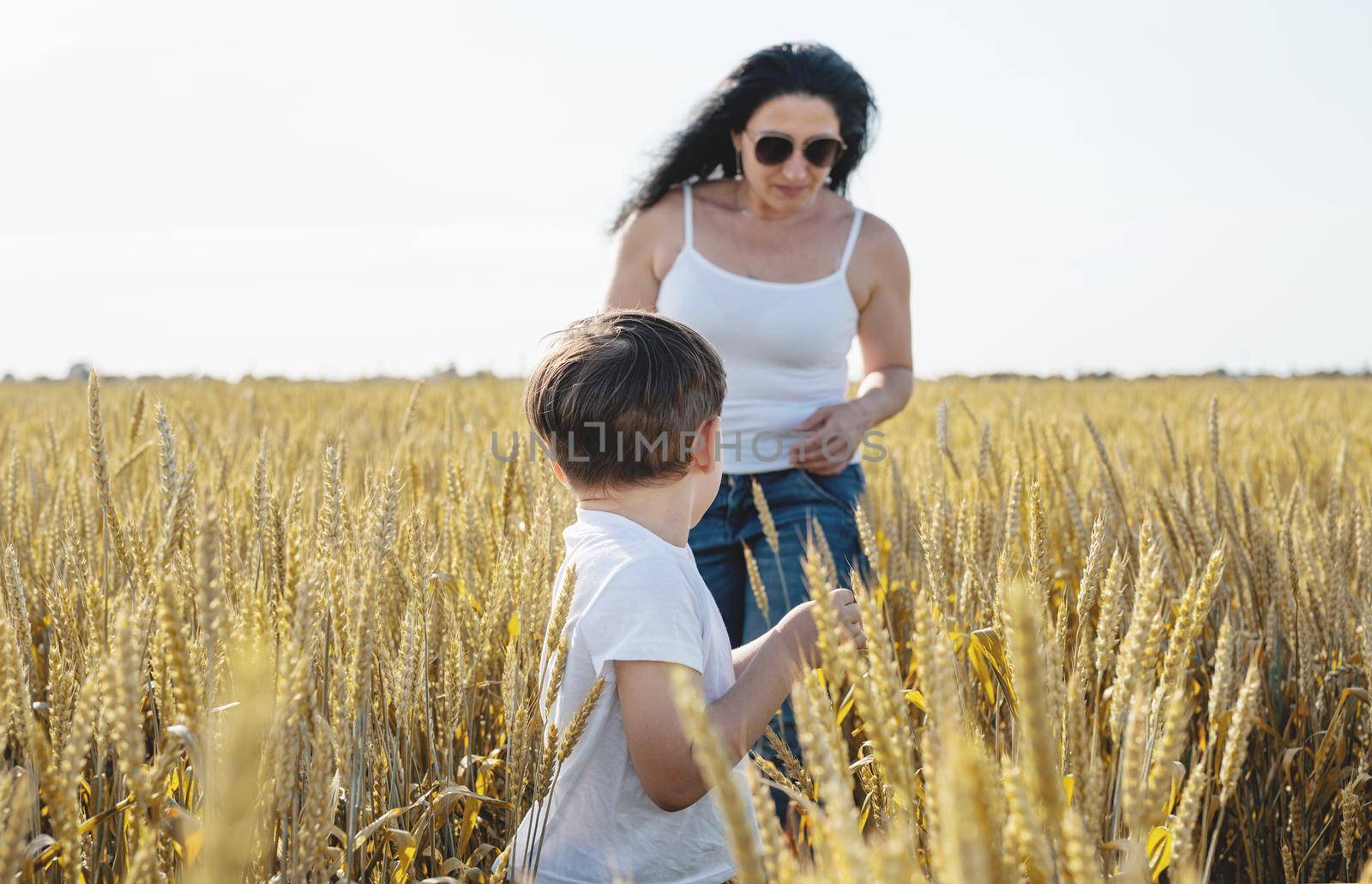 Happy family on a summer walk, mother and child walk in the wheat field and enjoy the beautiful nature, at sunset