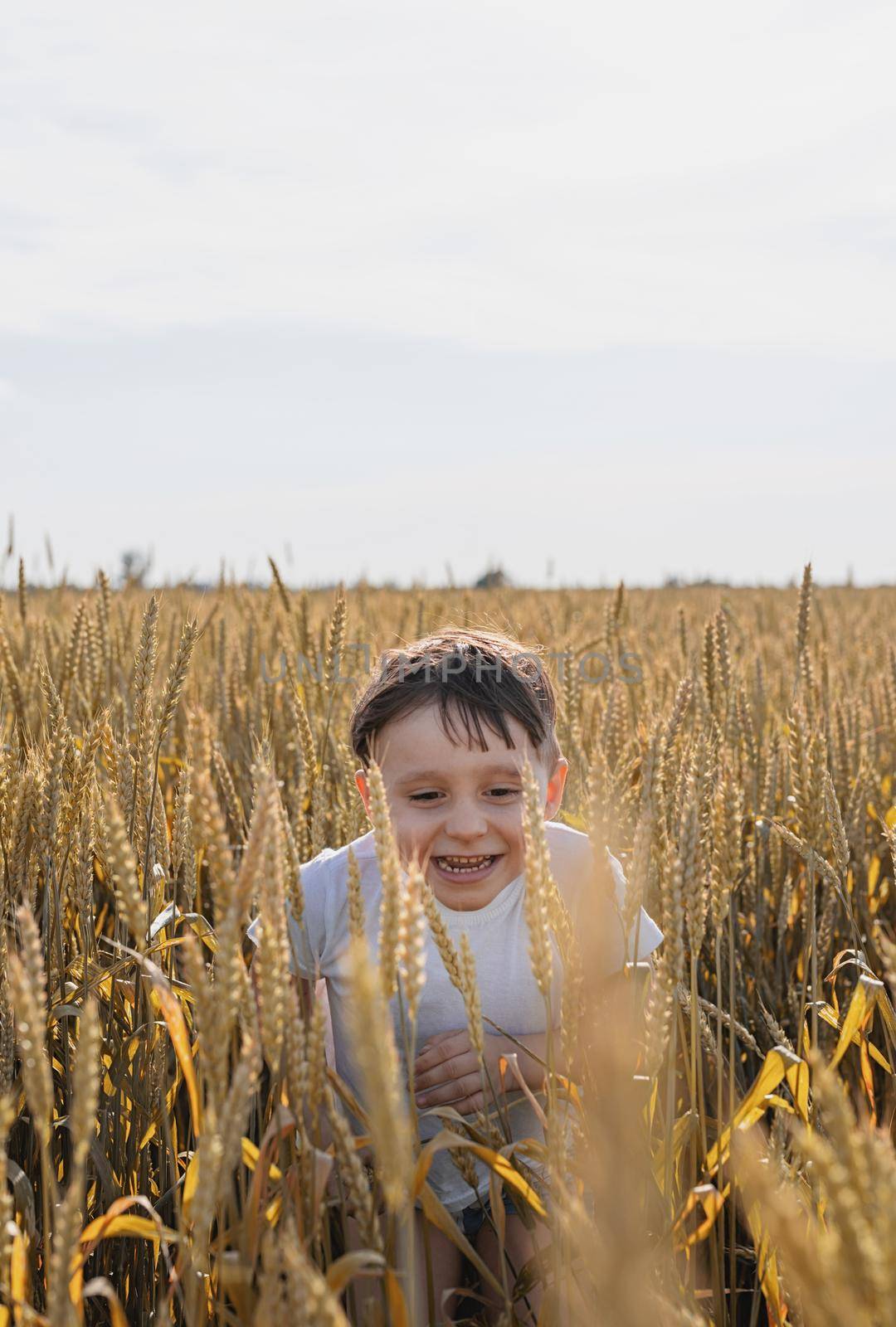 Cute boy walking across the wheat field, making funny faces by Desperada