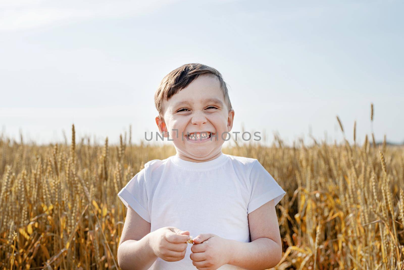 Cute boy walking across the wheat field, making funny faces. Wheat ear. Rye ears. Selective focus. Setting sun. Walk in the rye field.