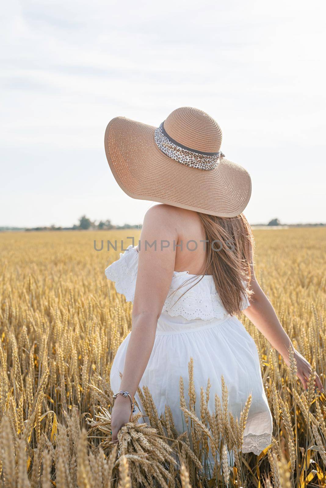 Young brunette woman walking across golden field holding heap of rye and wearing white dress lit by sunset light, copy space