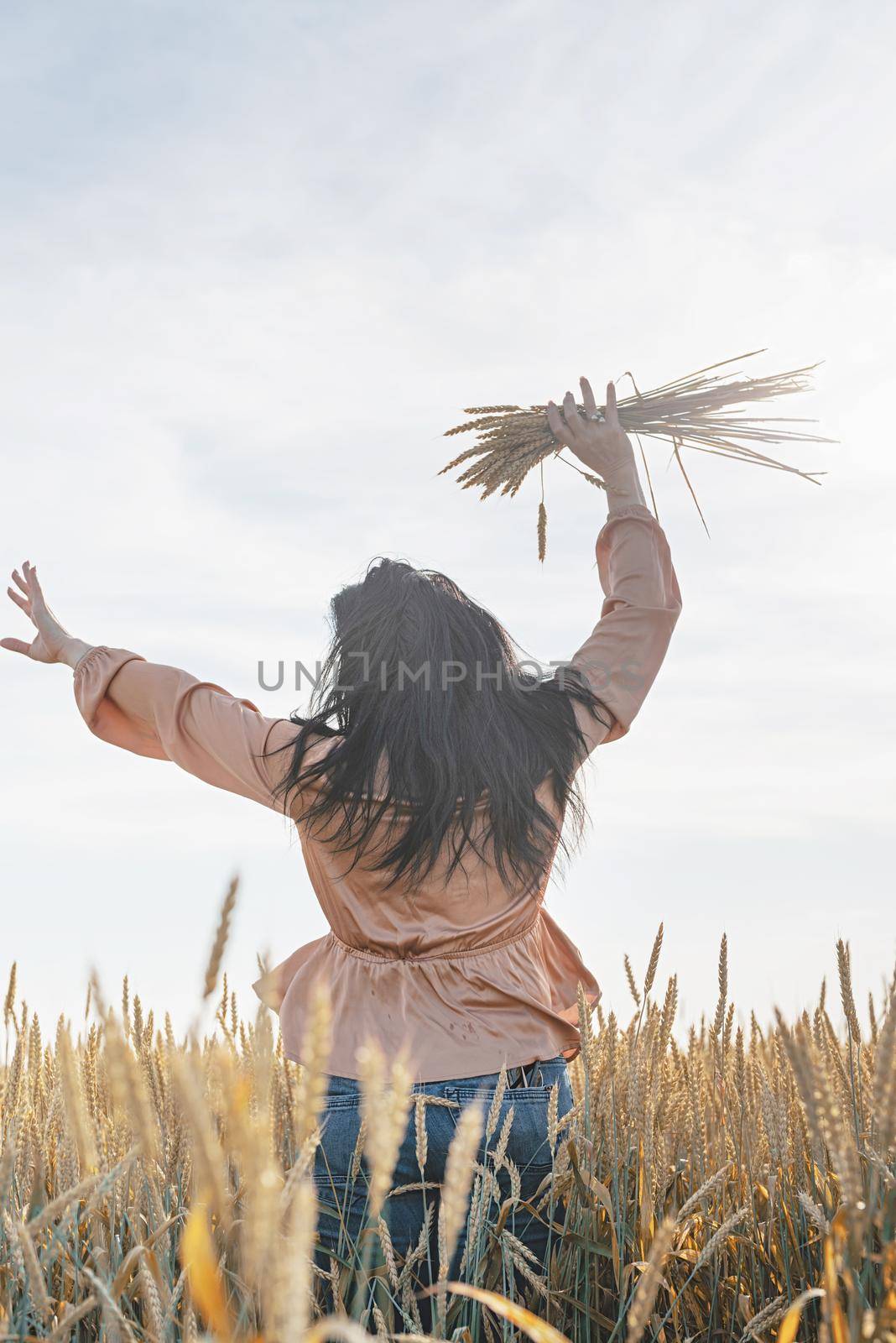 Mid adult woman in beige shirt walking across golden field holding heap of rye lit by sunset light, copy space